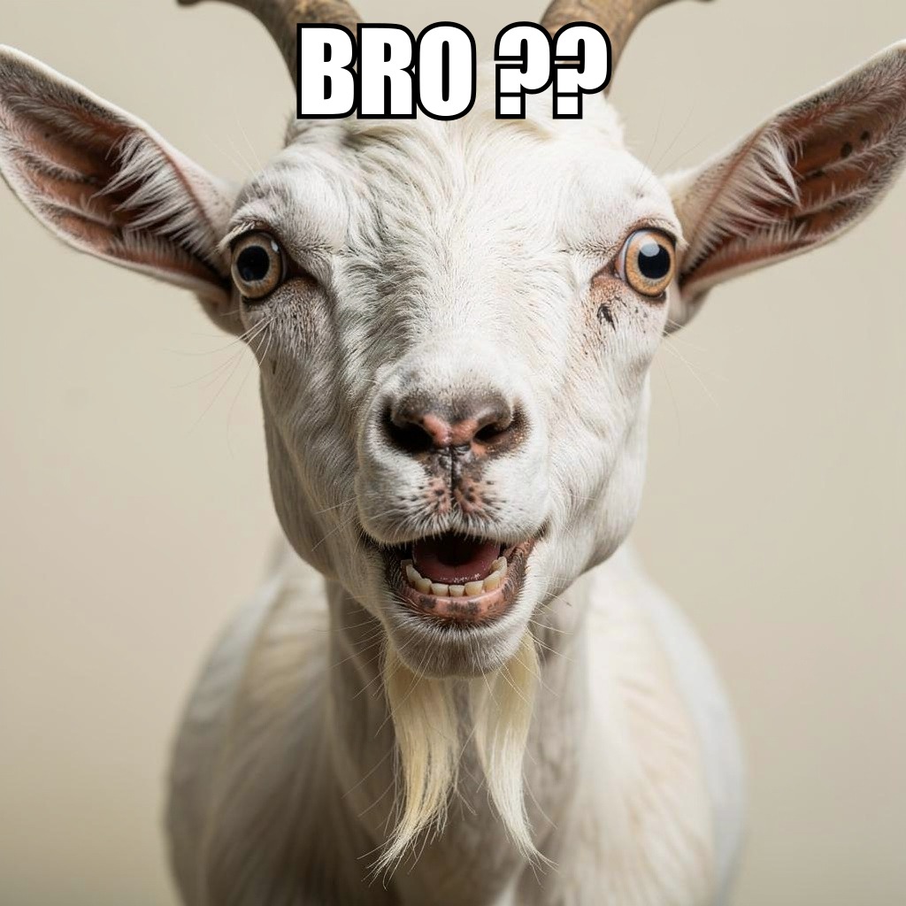 BRO ??