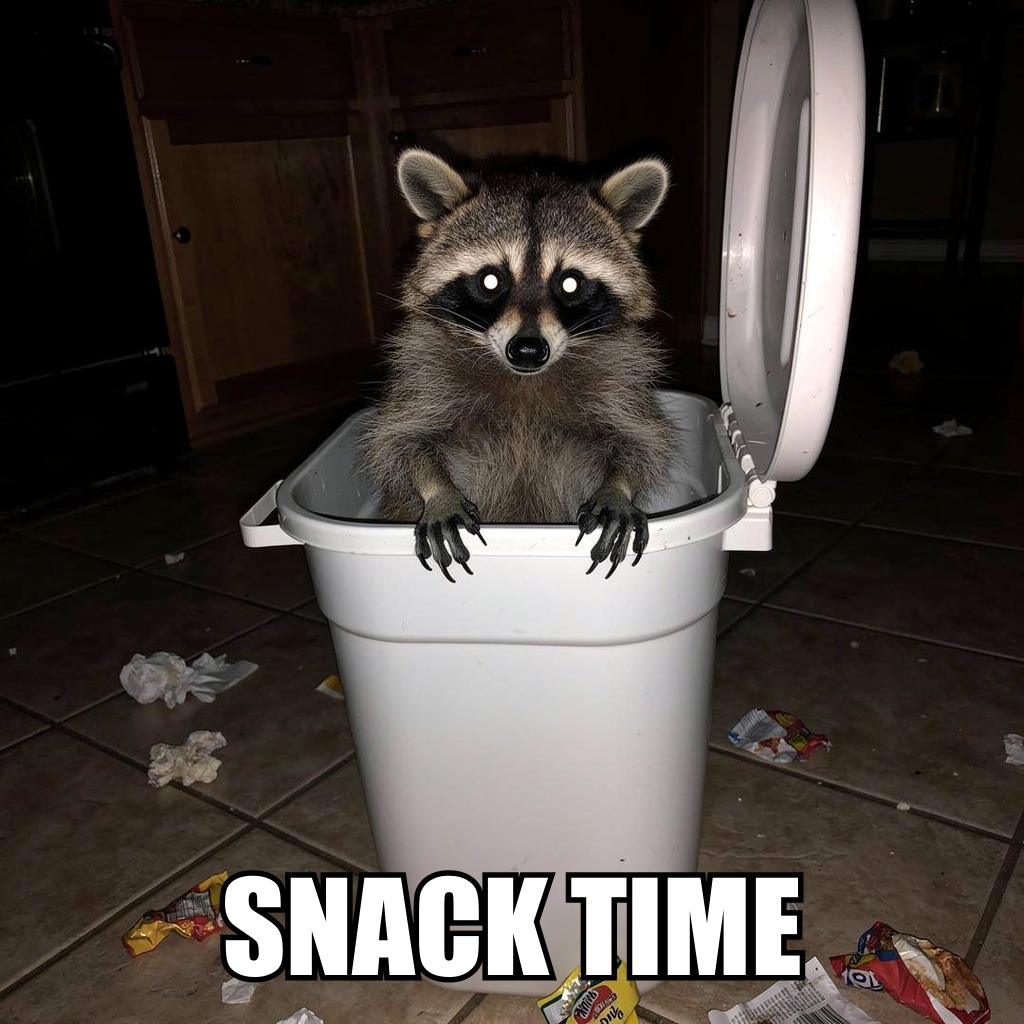 SNACK TIME