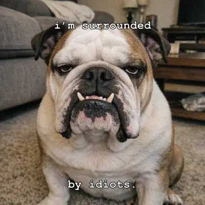 meme