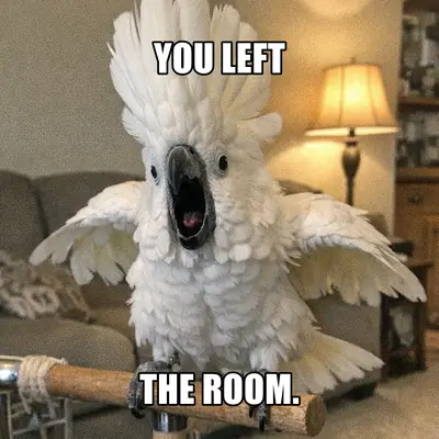 meme