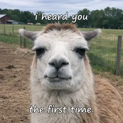 meme