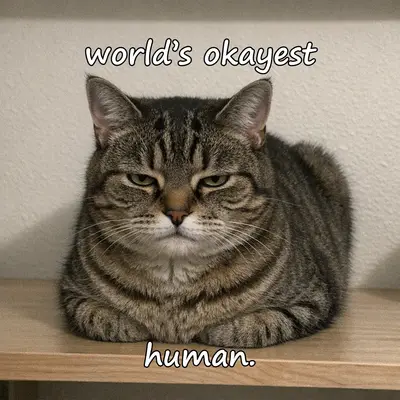meme