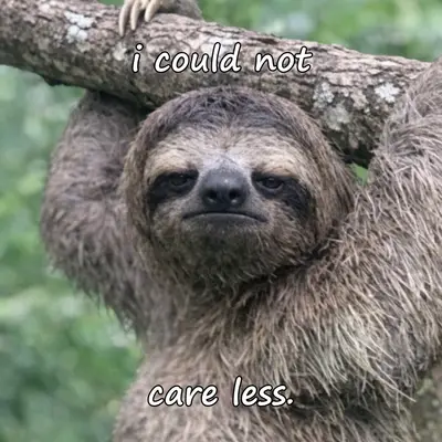 meme