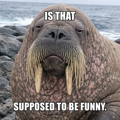 meme