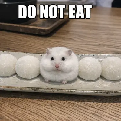 meme