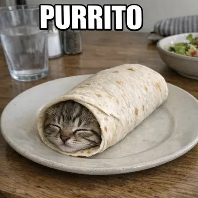 meme