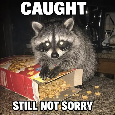 meme