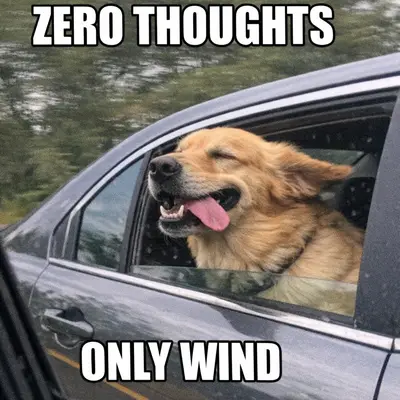 meme