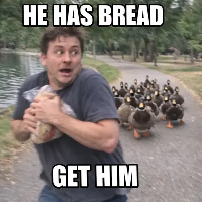 meme