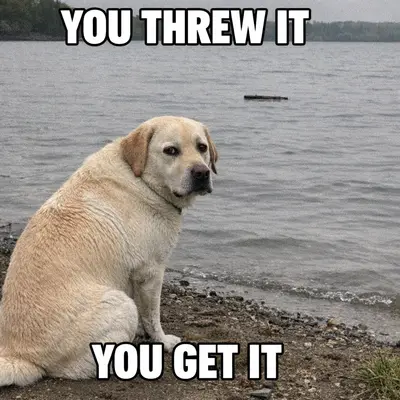 meme