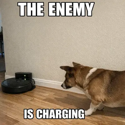 meme