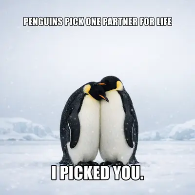 meme