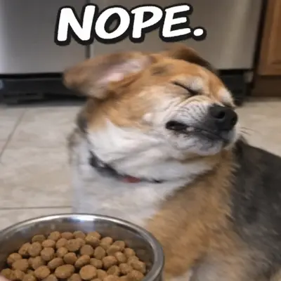 meme
