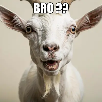 BRO ??