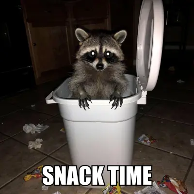SNACK TIME